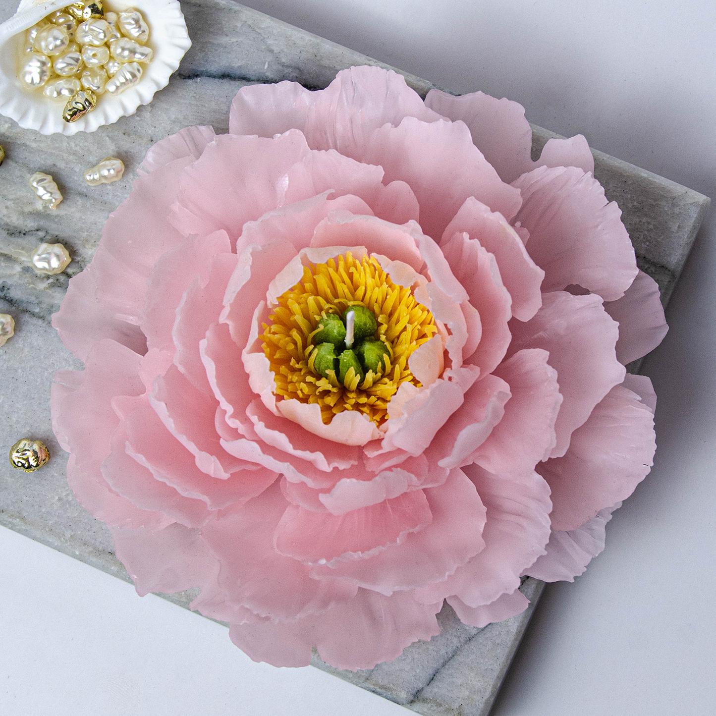 Blooming Pink Peony