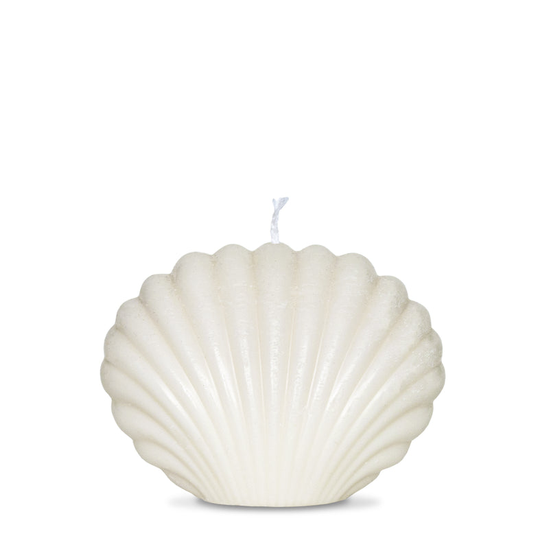 Large Seashell