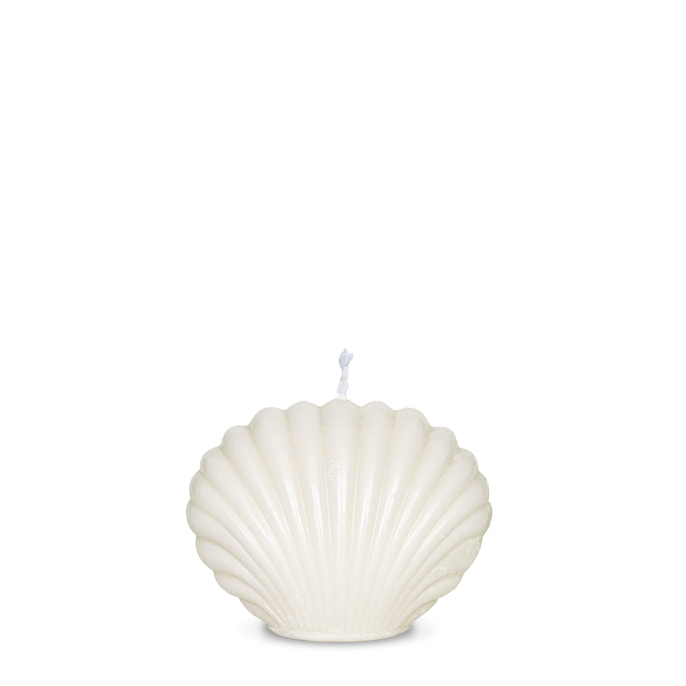 Small Seashell