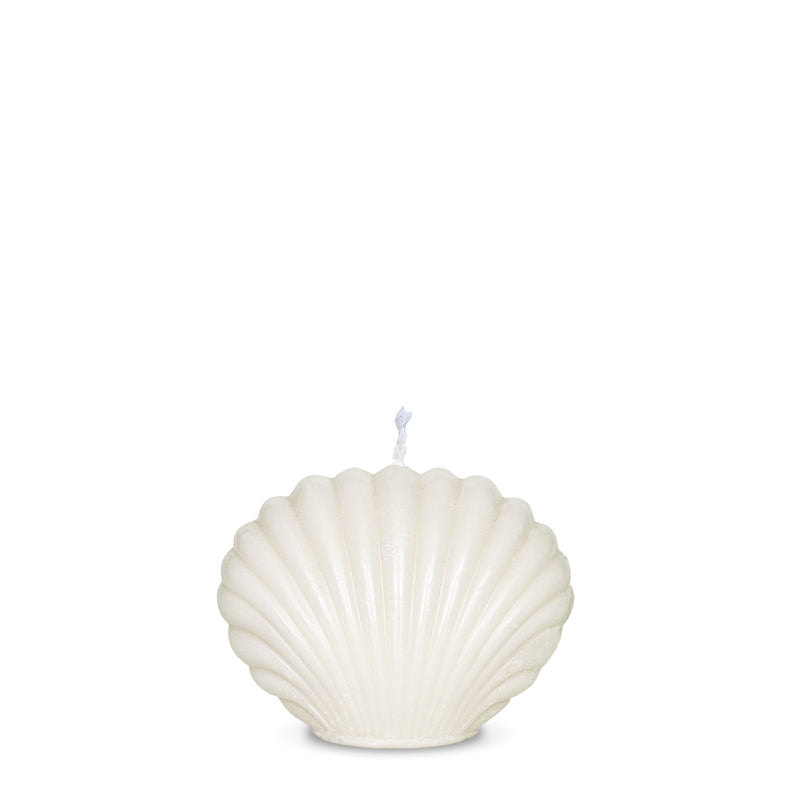 Small Seashell