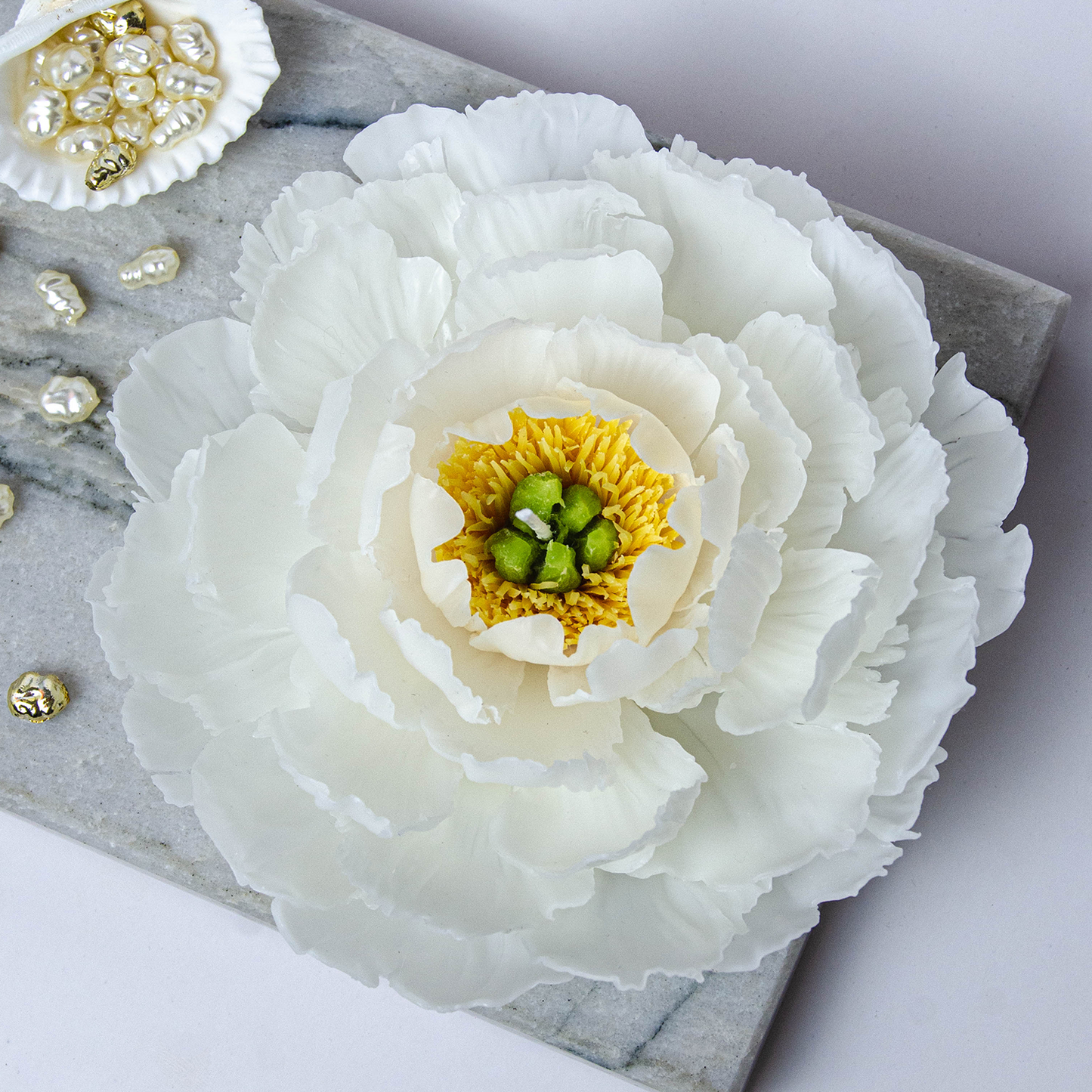 Blooming White Peony