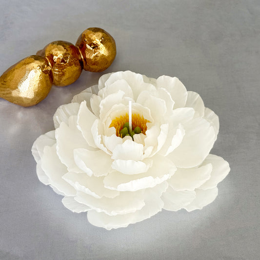 Blooming White Peony