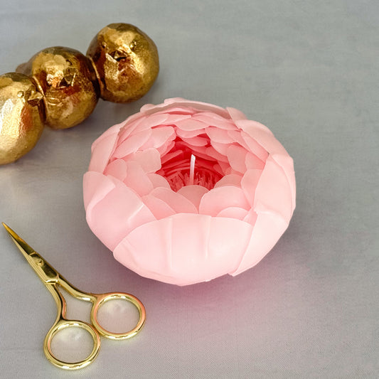 Pink Peony