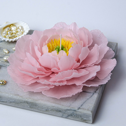 Blooming Pink Peony
