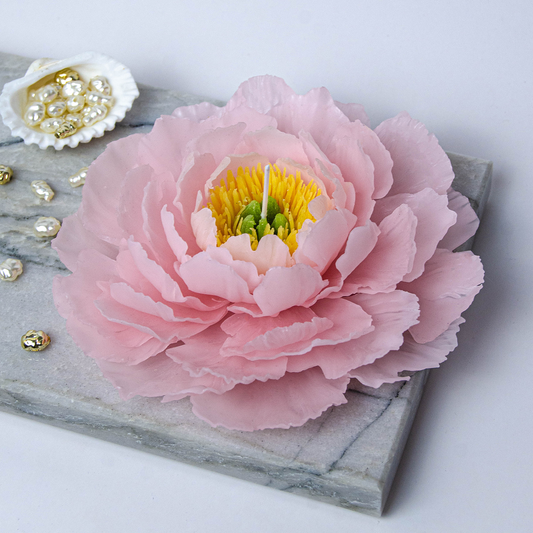 Blooming Pink Peony