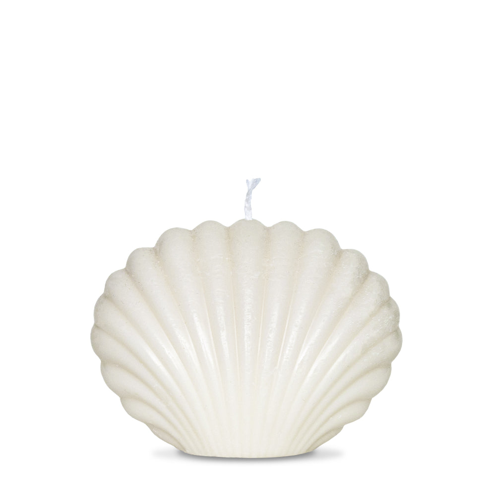 Large Seashell