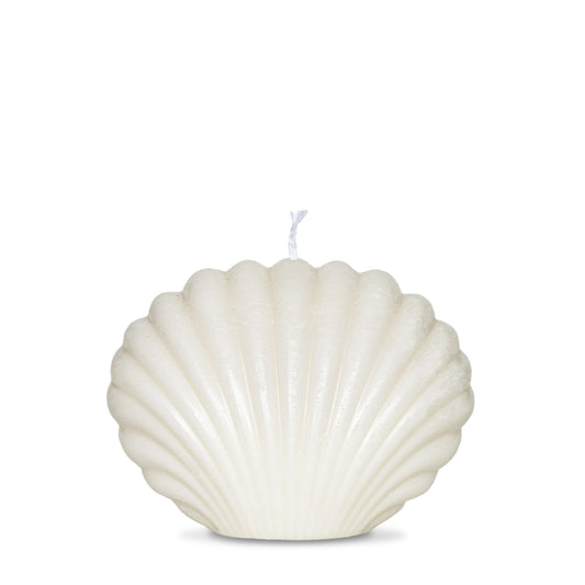 Large Seashell
