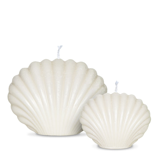Seashell Duo
