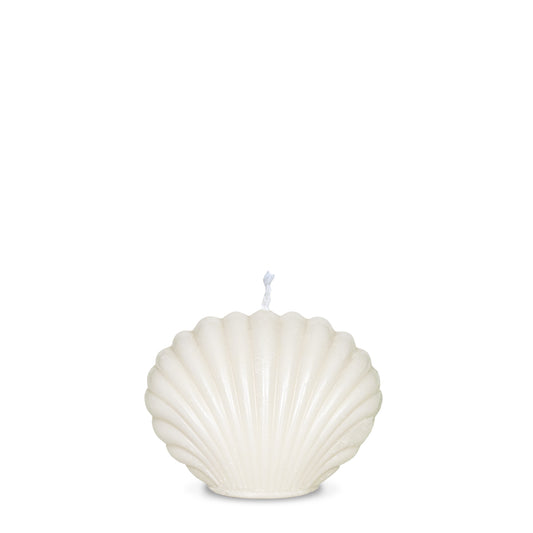 Small Seashell