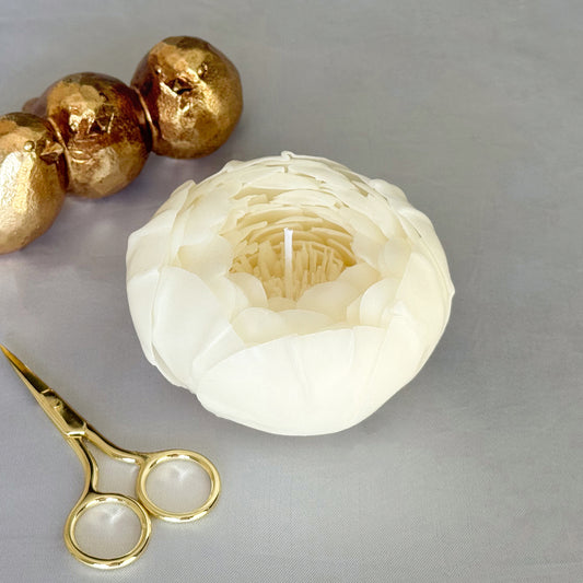 White Peony