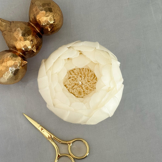 White Peony