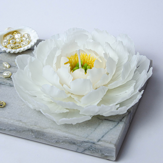 Blooming White Peony