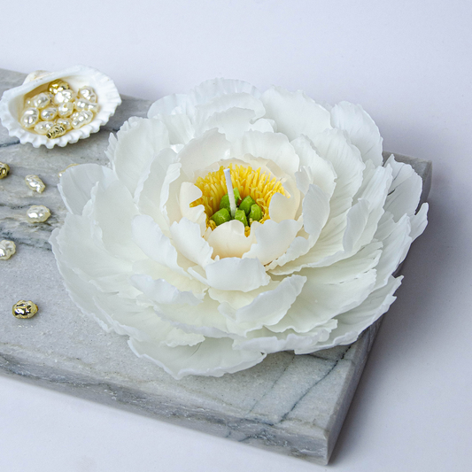Blooming White Peony